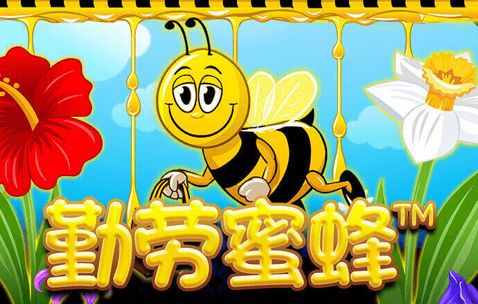问鼎app网站